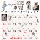 더엘동물의료센터 이미지