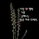 새암정 이미지