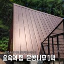 물푸레작은도서관 | 대구근교휴양림 칠곡 송정자연휴양림 세모 은행나무 숙소 이용 후기