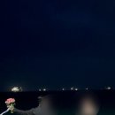 셀프웨딩 셀프부케 부산셀프웨딩 양정 꽃도매시장 내돈내산 후기 (강추) 꽃시장 꿀팁 가격공유
