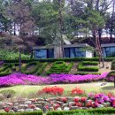 월드 C.C 이미지