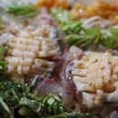 본동물회 이미지