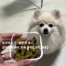 모쿠, 또모쿠 | 모쿠또모쿠 멍쫀쿠 후기 (강아지 두바이쫀득쿠키 가격·보관방법 정리)