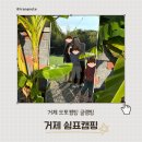 쉼표고성 | 거제 쉼표 캠핑 ⛺ 초가을 가족과 다녀온 거제 가족 캠핑 후기
