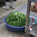 가얏고마을 이미지