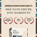 (주)까치앤까치 이미지