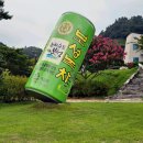 다향어린이집 | 보성 아이랑 가볼만한곳 :: 한국차박물관 실내정원 차밭산책 (2)
