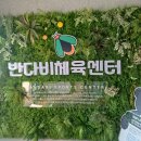 반다비체육센터 체육관 | [수영/수영장]양산 반다비체육센터 후기 및 정보 등