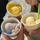 염소왕국 | 🇹🇼 대만 2일차 | 란양 동식물 왕국 투어! 대만 속 숨겨진 보석, 이란(宜蘭) 힐링 여행