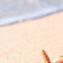 더 하노이 이미지