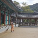 네코스테이 고양이마을 | 공주 마곡사 템플스테이 2박3일 후기 봉사형으로 진짜 힐링한 이유