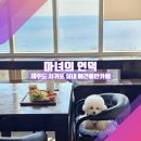 [제주 서귀포 실내 애견동반카페_마녀의 언덕] &#34;브런치와 고양이와 바다뷰&#34;