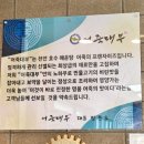 대부 | 안성어죽 어죽대부에서 보양어죽 먹은 후기