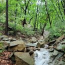 푸른나무한의원 이미지