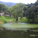 진주 청곡사 목조지장보살삼존상 및 시왕상 일괄 | 청곡사 – 경상남도 진주시