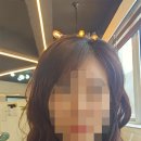 황금헤어샵 - 동구 | 황금헤어샵