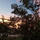 천관농장 이미지