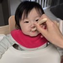 스푼 | 이유식스푼 추천, 키즈마일 이유식 1등 퍼기 스푼 <우리 아이 애착스푼 된 후기
