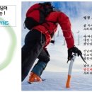 최강영어시스템