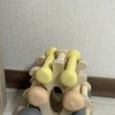 우성레포츠헬스장 이미지