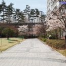 루나밸리 이미지