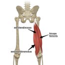 PT의 정석 운동재활센터 이미지