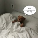 주식회사 스카에나 | 9월의 회시생 일상공개 (상)