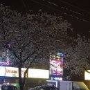 이지랜드 이미지