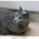 주댕이네 이미지