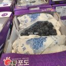 대정농업협동조합 | 제주도 혼자 여행자의 현실 휴식지 서귀포 대정 하나로마트 탐방기