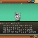 부엉이 눈썹