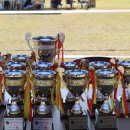 드린겐 애견테마파크 이미지