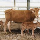 이순호농장 이미지