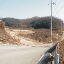 연천군 군남면 황지리