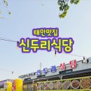 태안맛집 신두리식당 계절별미 주꾸미철판볶음+바지락칼국수