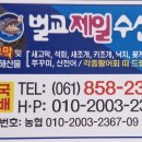 벌교역앞 이미지