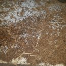 강화대로 이미지