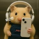 콕 이미지