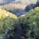 임리경로당 이미지