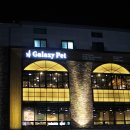 갤럭시펫 애견미용 이미지