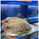 가락횟집 이미지