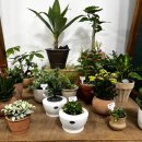 고리울동굴시장 이미지