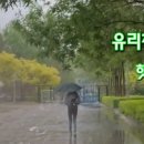 힛트 - 계양구 | 힛트