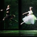 수원-1900 이미지