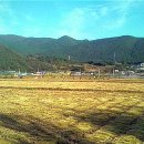 유정농원 이미지