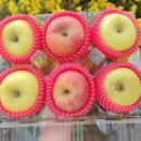 하늘재농장 이미지