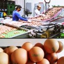 윤형수농장 이미지