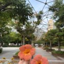 왕왕뽑기왕 이미지