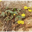 논두렁밭두렁 이미지