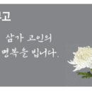 퍼시픽에어에이젠시 이미지
